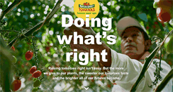 Desktop Screenshot of naturesweet.com