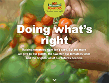 Tablet Screenshot of naturesweet.com